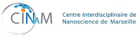 Centre Interdisciplinaire de Nanoscience de Marseille
